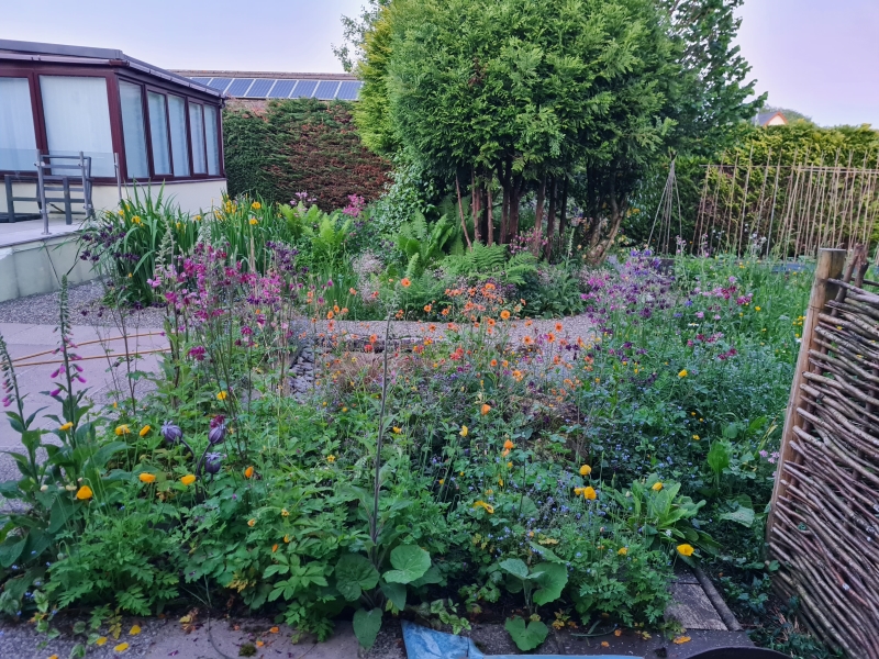 Siskin Lodge Wildlife Garden